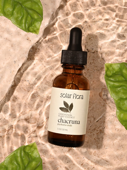 Ceremonial Plant Essence: Chacruna | sf6