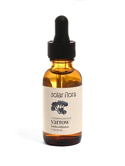 Flower Essence: Yarrow 1 | sf11