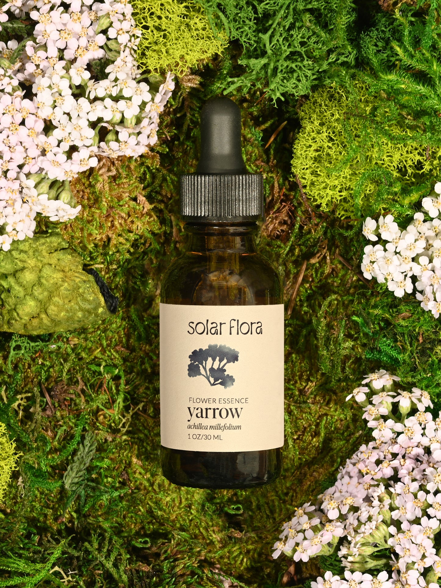 Flower Essence: Yarrow