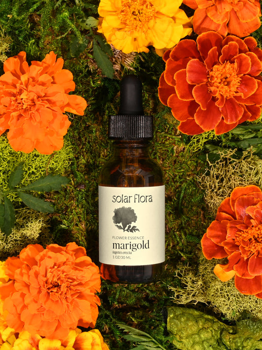 Flower Essence: Marigold