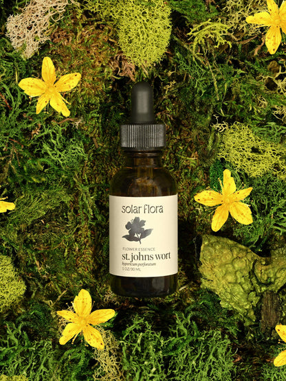 Flower Essence: St. John's Wort