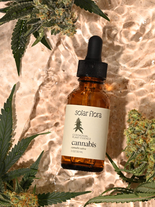 Ceremonial Plant Essence: Cannabis